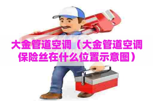 大金管道空调（大金管道空调保险丝在什么位置示意图）