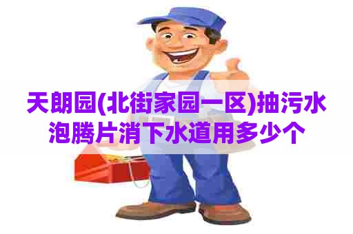 天朗园(北街家园一区)抽污水泡腾片消下水道用多少个