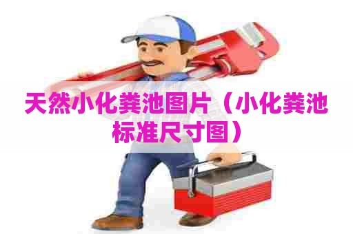 天然小化粪池图片（小化粪池标准尺寸图）