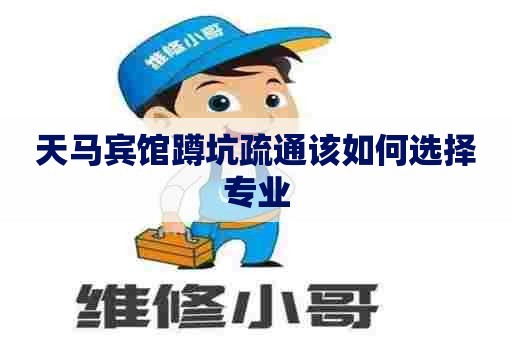 天马宾馆蹲坑疏通该如何选择专业