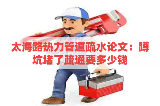 太海路热力管道疏水论文:蹲坑堵了疏通要多少钱 太海路热力管道疏水论文:蹲坑堵了疏通要多少钱