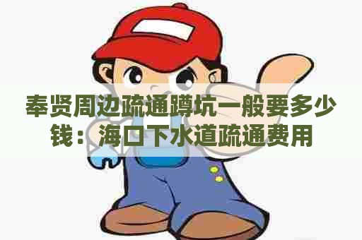 奉贤周边疏通蹲坑一般要多少钱:海口下水道疏通费用 奉贤周边疏通蹲坑一般要多少钱:海口下水道疏通费用