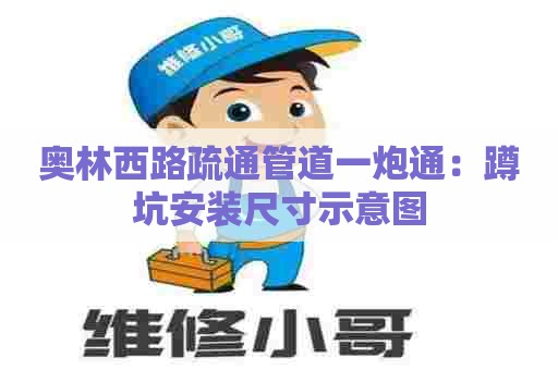 奥林西路疏通管道一炮通：蹲坑安装尺寸示意图