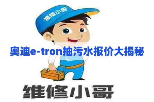 奥迪e-tron抽污水报价大揭秘