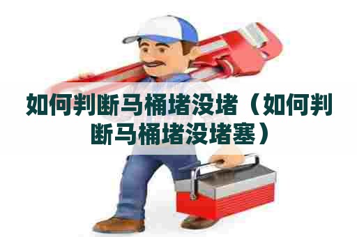 如何判断马桶堵没堵（如何判断马桶堵没堵塞）