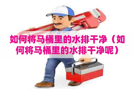 如何将马桶里的水排干净（如何将马桶里的水排干净呢）