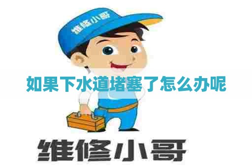 如果下水道堵塞了怎么办呢 如果下水道堵塞了怎么办呢