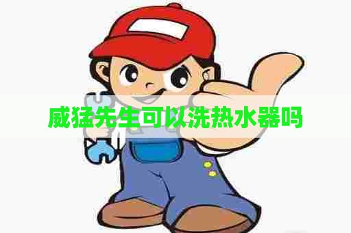 威猛先生可以洗热水器吗