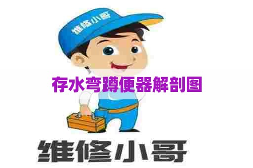 存水弯蹲便器解剖图