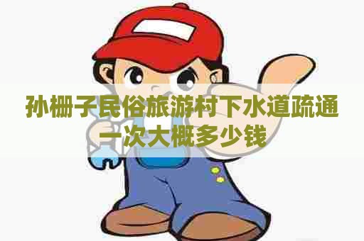 孙栅子民俗旅游村下水道疏通一次大概多少钱