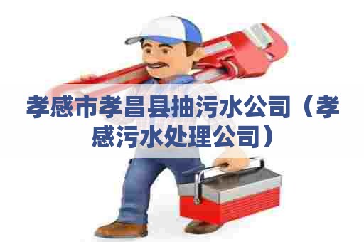 孝感市孝昌县抽污水公司（孝感污水处理公司）