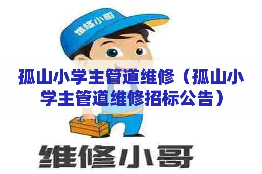 孤山小学主管道维修(孤山小学主管道维修招标公告) 孤山小学主管道维修(孤山小学主管道维修招标公告)