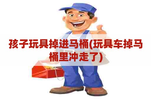 孩子玩具掉进马桶(玩具车掉马桶里冲走了)