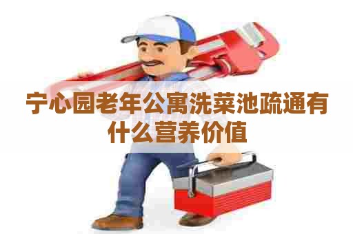 宁心园老年公寓洗菜池疏通有什么营养价值