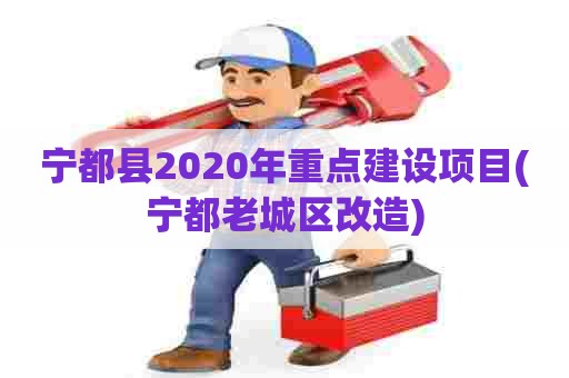 宁都县2020年重点建设项目(宁都老城区改造)