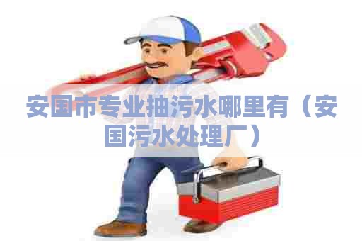 安国市专业抽污水哪里有（安国污水处理厂）