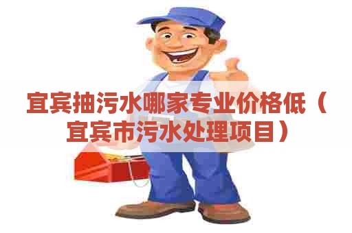 宜宾抽污水哪家专业价格低（宜宾市污水处理项目）