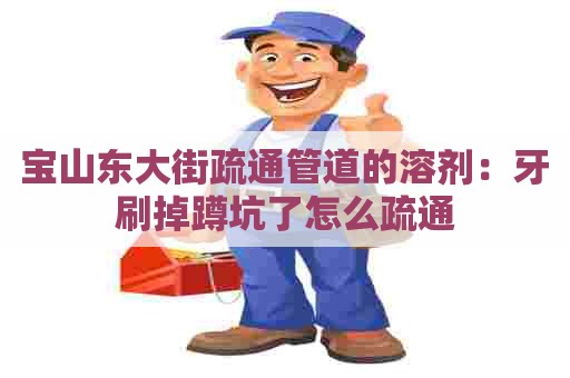 宝山东大街疏通管道的溶剂:牙刷掉蹲坑了怎么疏通 宝山东大街疏通管道的溶剂:牙刷掉蹲坑了怎么疏通