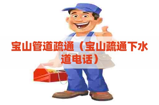 宝山管道疏通（宝山疏通下水道电话）
