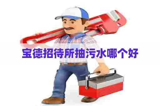 宝德招待所抽污水哪个好
