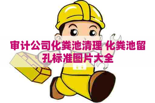 审计公司化粪池清理 化粪池留孔标准图片大全