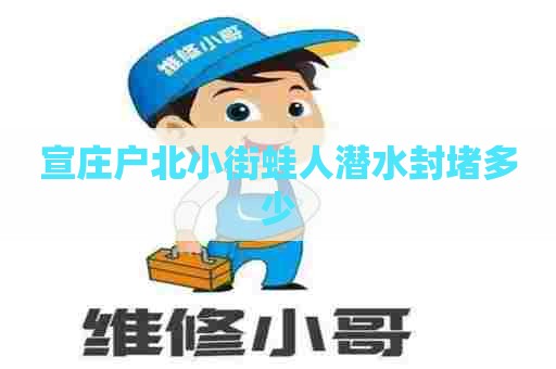 宣庄户北小街蛙人潜水封堵多少