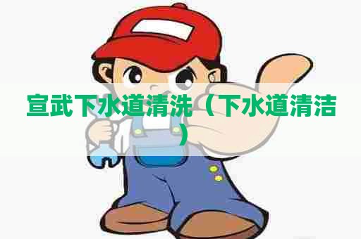 宣武下水道清洗（下水道清洁）