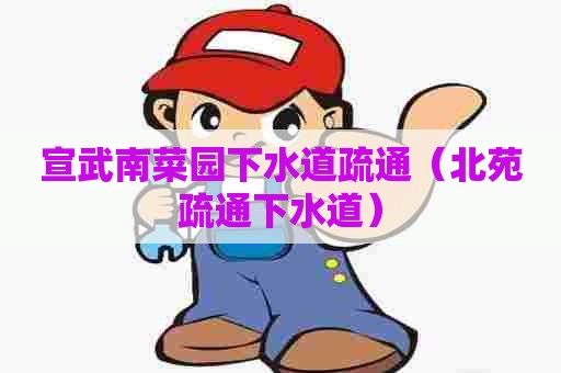 宣武南菜园下水道疏通（北苑疏通下水道）