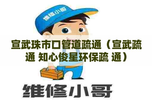宣武珠市口管道疏通（宣武疏通 知心俊星环保疏 通）