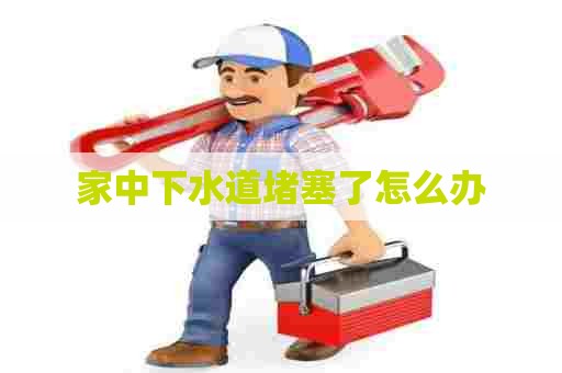 家中下水道堵塞了怎么办