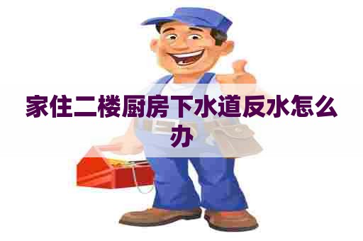 家住二楼厨房下水道反水怎么办