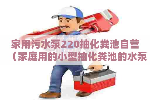 家用污水泵220抽化粪池自营（家庭用的小型抽化粪池的水泵）