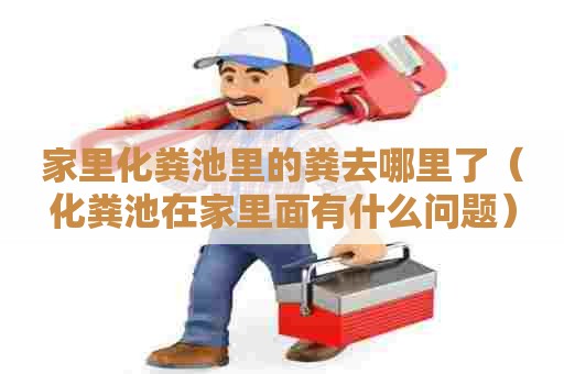 家里化粪池里的粪去哪里了（化粪池在家里面有什么问题）