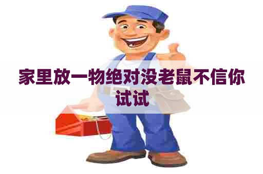 家里放一物绝对没老鼠不信你试试