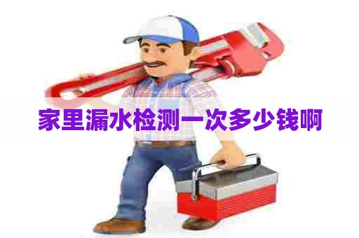 家里漏水检测一次多少钱啊