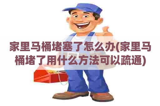 家里马桶堵塞了怎么办(家里马桶堵了用什么方法可以疏通)