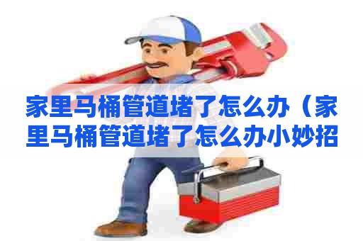 家里马桶管道堵了怎么办（家里马桶管道堵了怎么办小妙招）