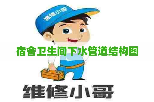 宿舍卫生间下水管道结构图 宿舍卫生间下水管道结构图