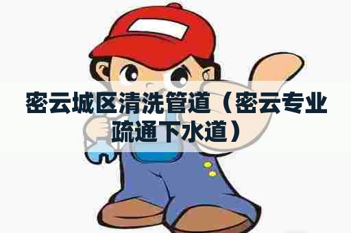 密云城区清洗管道（密云专业疏通下水道）