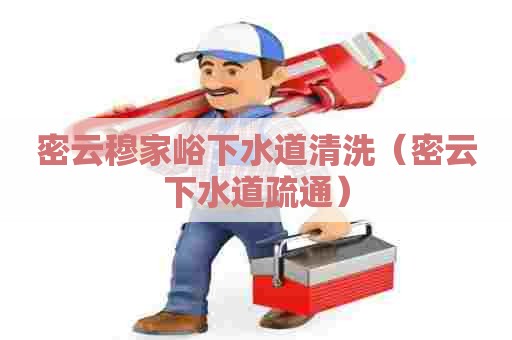 密云穆家峪下水道清洗(密云下水道疏通) 密云穆家峪下水道清洗(密云下水道疏通)