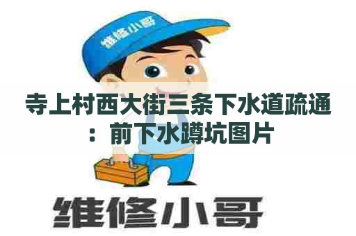 寺上村西大街三条下水道疏通:前下水蹲坑图片 寺上村西大街三条下水道疏通:前下水蹲坑图片