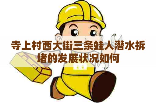 寺上村西大街三条蛙人潜水拆堵的发展状况如何