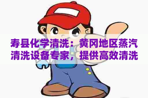 寿县化学清洗：黄冈地区蒸汽清洗设备专家，提供高效清洗服务