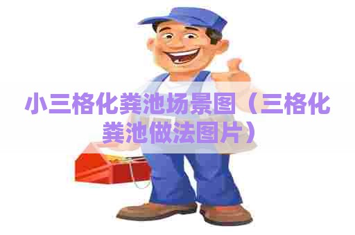 小三格化粪池场景图（三格化粪池做法图片）