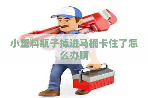 小塑料瓶子掉进马桶卡住了怎么办啊