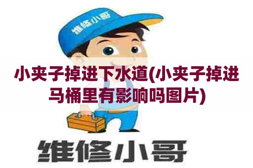 小夹子掉进下水道(小夹子掉进马桶里有影响吗图片)