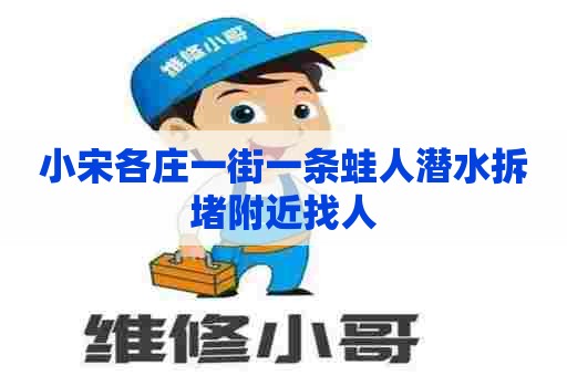小宋各庄一街一条蛙人潜水拆堵附近找人