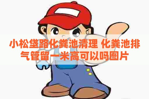 小松垡路化粪池清理 化粪池排气管留一米高可以吗图片