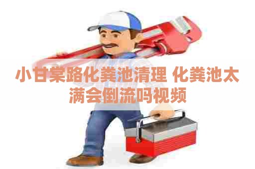 小甘棠路化粪池清理 化粪池太满会倒流吗视频