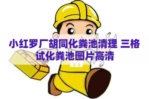 小红罗厂胡同化粪池清理 三格试化粪池图片高清